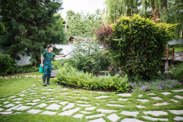 Best Affordable Pest Control Services  in Canton Valley, CT