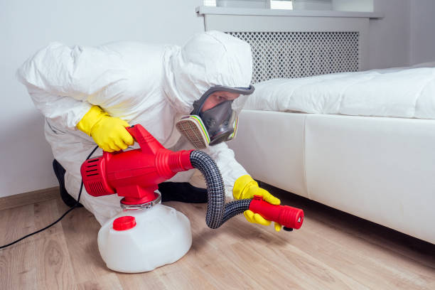 Insect Control in Canton Valley, CT