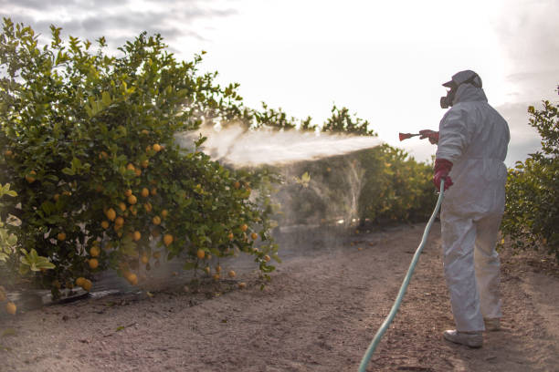 Best Flea Control Services  in Canton Valley, CT
