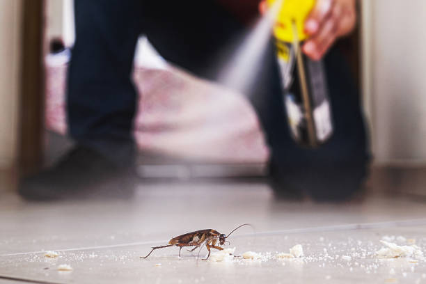 Best Exterminator Services  in Canton Valley, CT