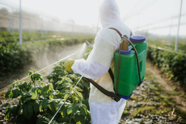 Best Pest Removal Services  in Canton Valley, CT